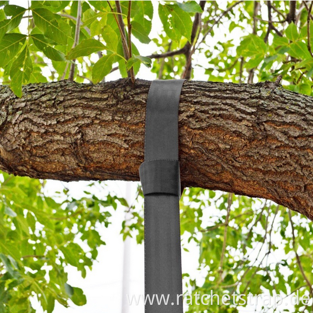 tree hanging strap